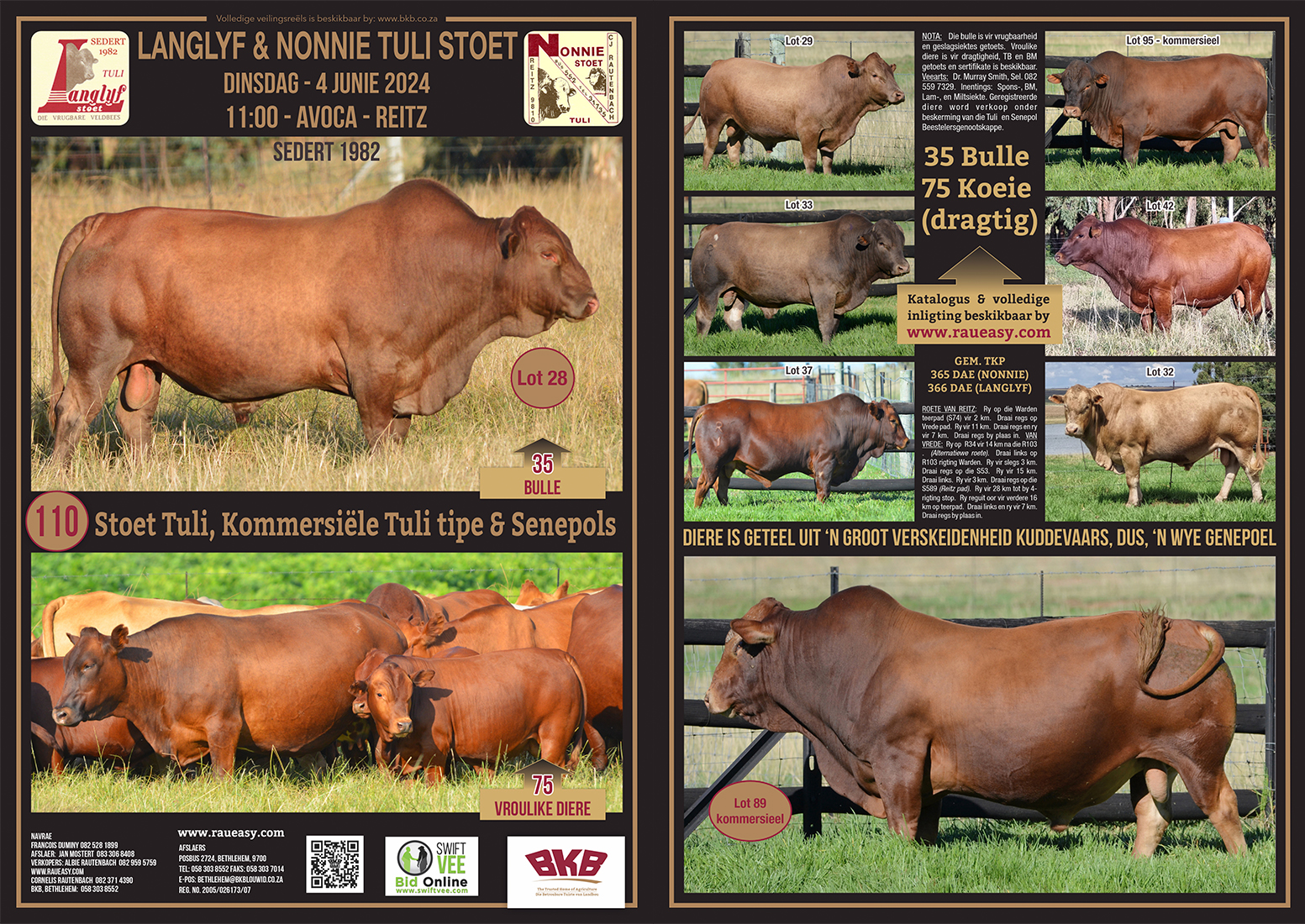Tuli Cattle Auction - June 4, 2024